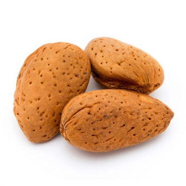 Almonds In-Shell Importer In Dhalai