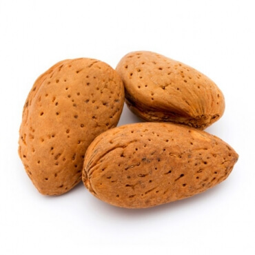 Almonds In-Shell Wholesaler, Supplier In Dausa