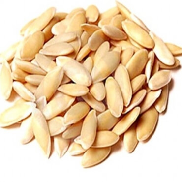 Melon Seeds Wholesaler, Supplier in India