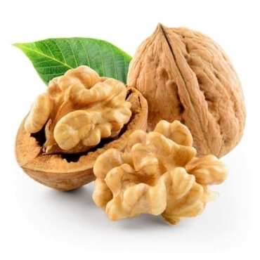 Best Walnut Wholesaler in Badaun